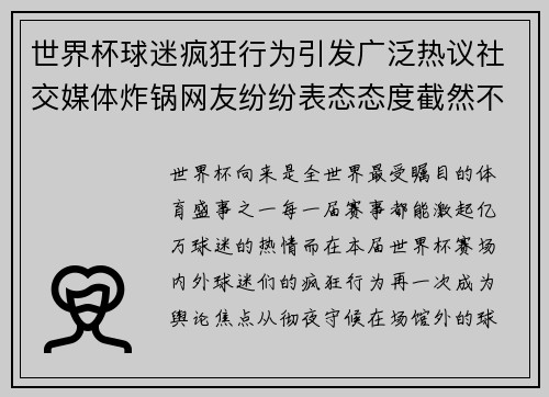 世界杯球迷疯狂行为引发广泛热议社交媒体炸锅网友纷纷表态态度截然不同